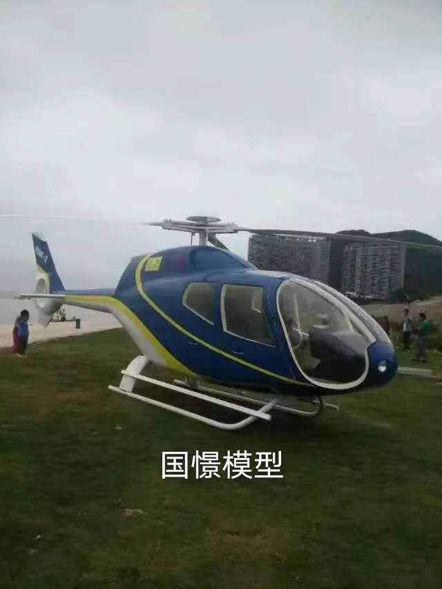 汝城县飞机模型